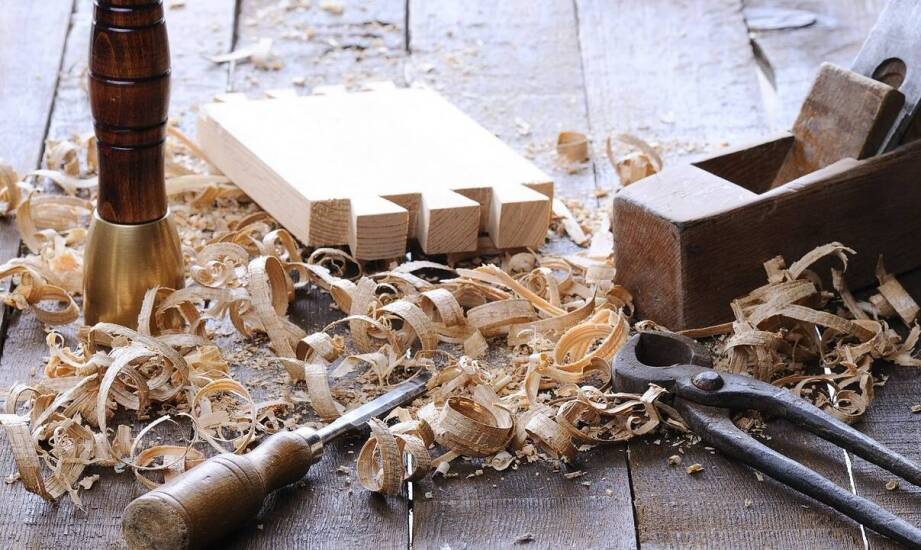 Rola trocin w ochronie środowiska i ogrodnictwie