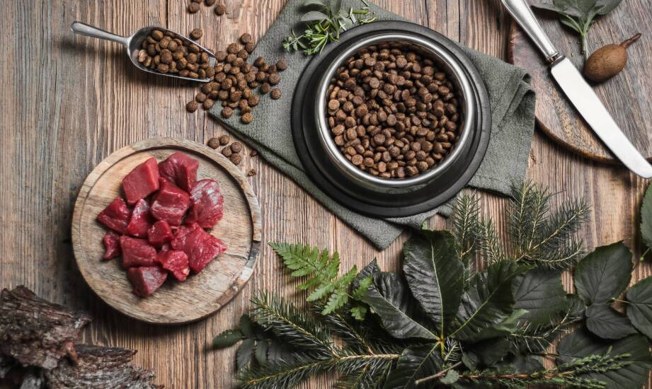 Jakie korzyści zdrowotne przynosi mięso jagnięce w diecie BARF?