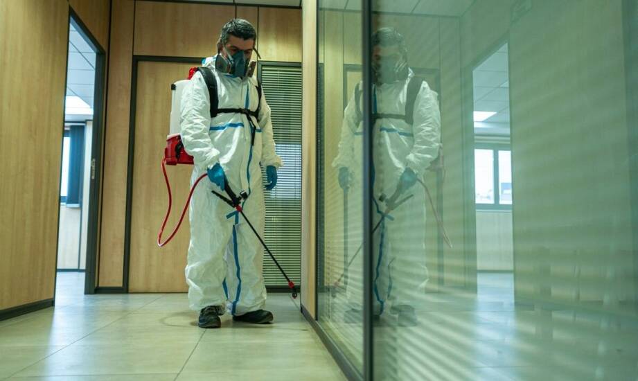 Jak wpływa dezynsekcja na utrzymanie czystości w środowisku pracy?