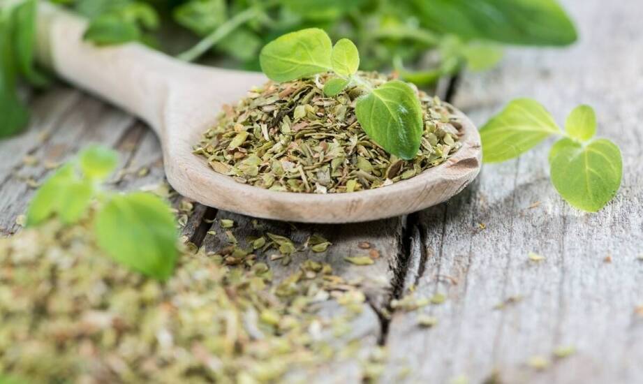 Rola ziół w poprawie trawienia u koni