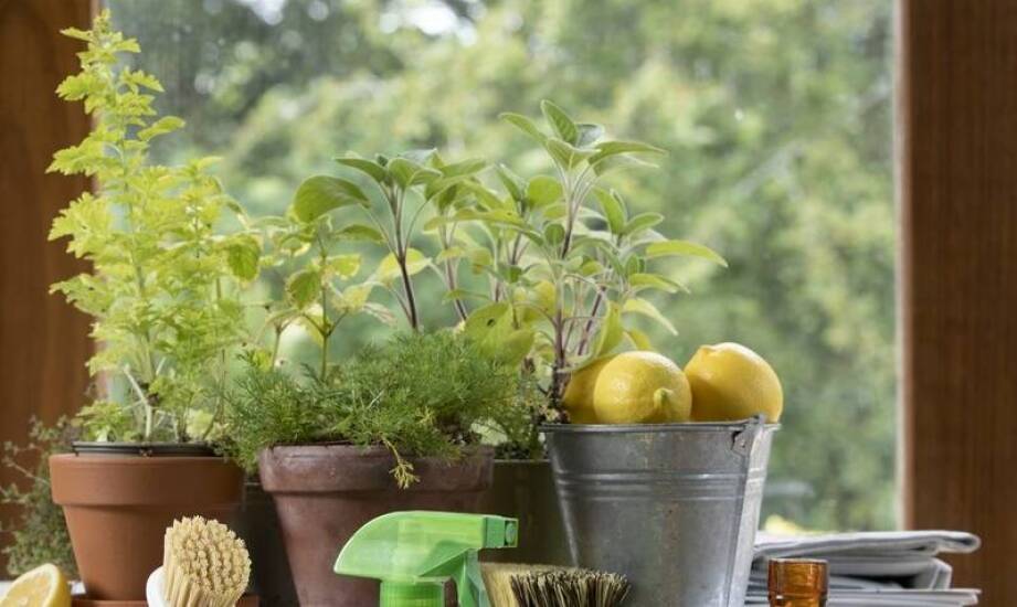 Rola ekologicznych środków w sprzątaniu po remontach