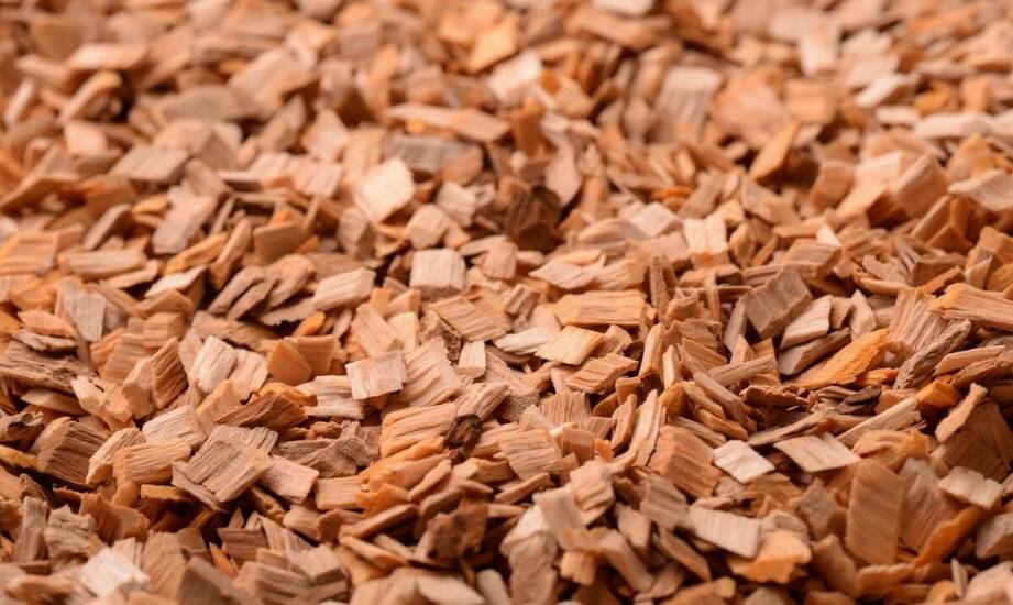 Jakie zalety oferuje najbardziej chłonna ściółka dla koni?