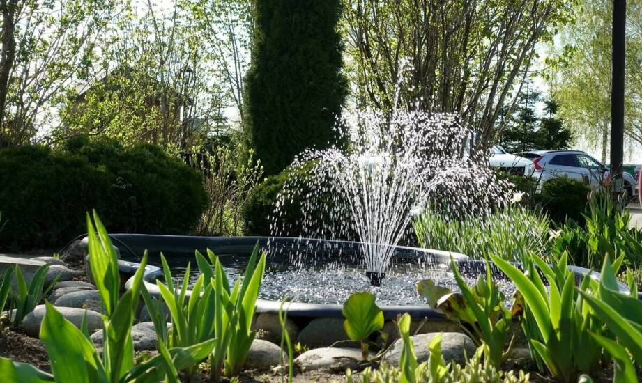 Wykorzystanie projekcji video w projektach pływających fontann