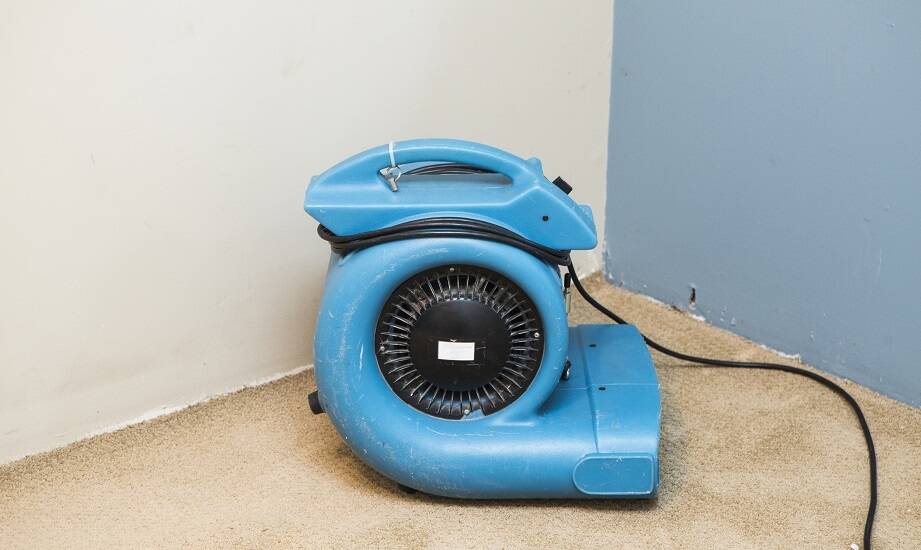 Wpływ profesjonalnego osuszania ścian na wartość nieruchomości