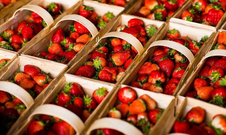 Jak kobiałka na truskawki może wpłynąć na prezentację owoców w sklepie?