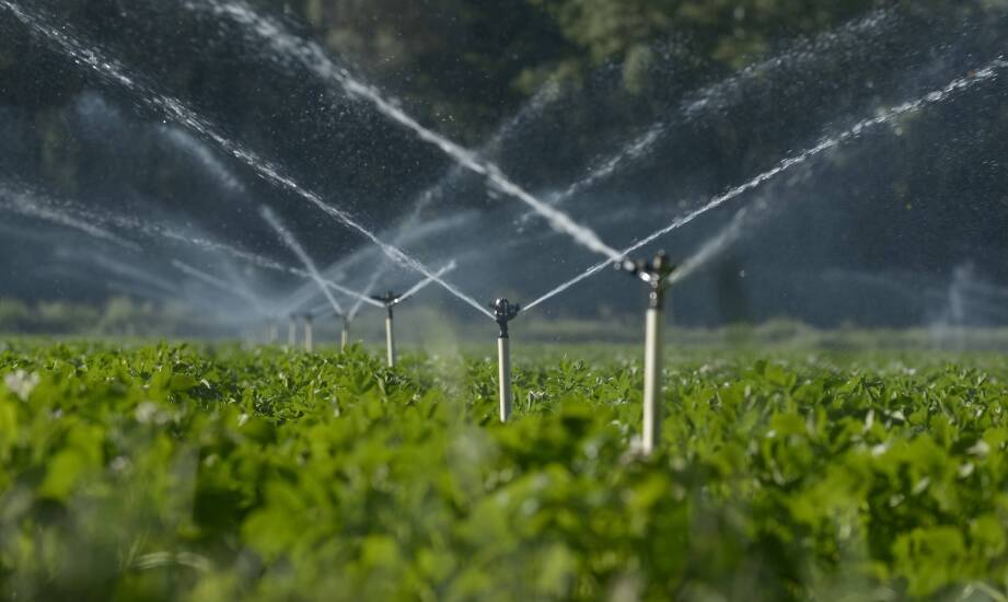 Wpływ jakości materiałów na koszty utrzymania systemów nawadniających