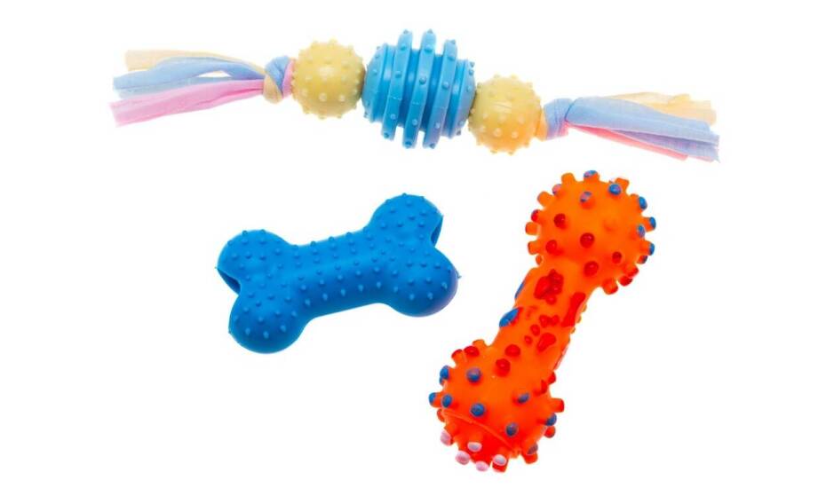 Przydatne akcesoria do zabawy i treningu z Twoim pupilem