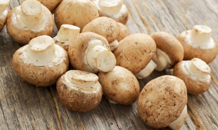 Why Is Freshness Key When Choosing Mushroom Suppliers?