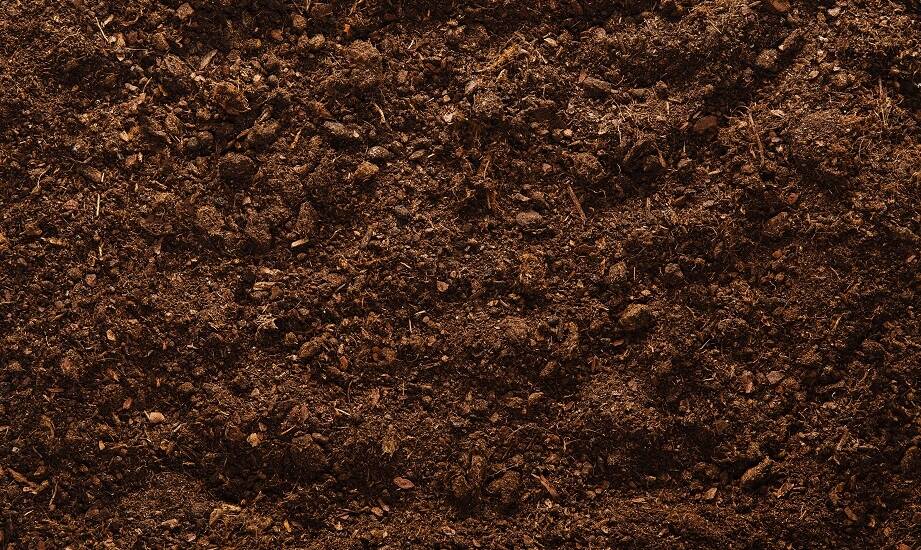 Odkażanie gleby w szklarniach: jakie preparaty są najbezpieczniejsze?