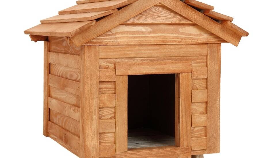 Jak ocieplana buda chroni kota przed zimnem i wilgocią?