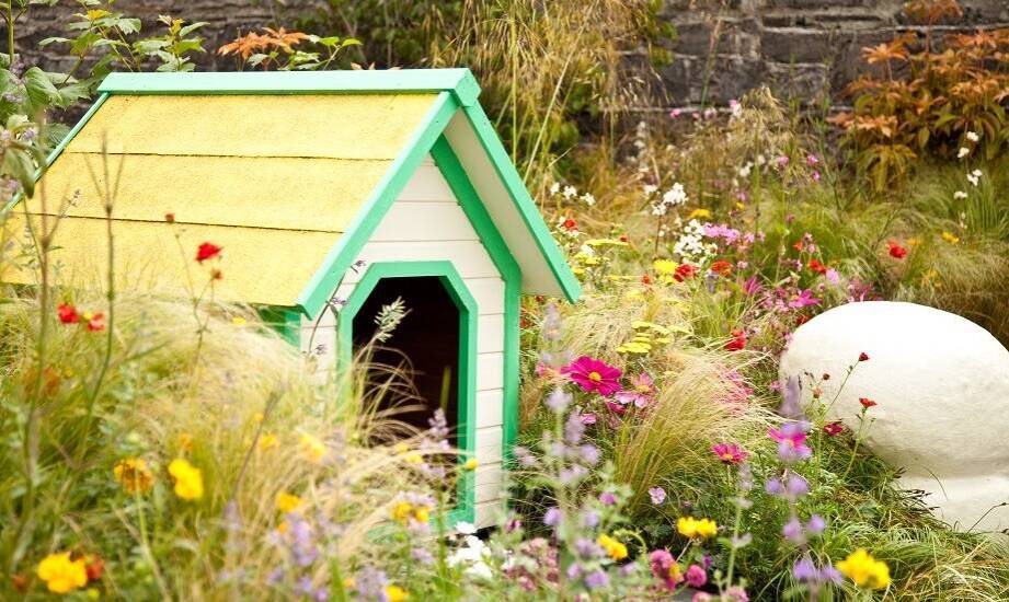 Jak ocieplana buda dla kota wpływa na jego zdrowie i samopoczucie?