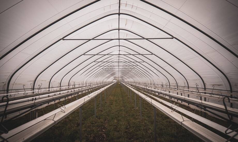 Jak dezynfekcja tunelu foliowego wpływa na zdrowie upraw?