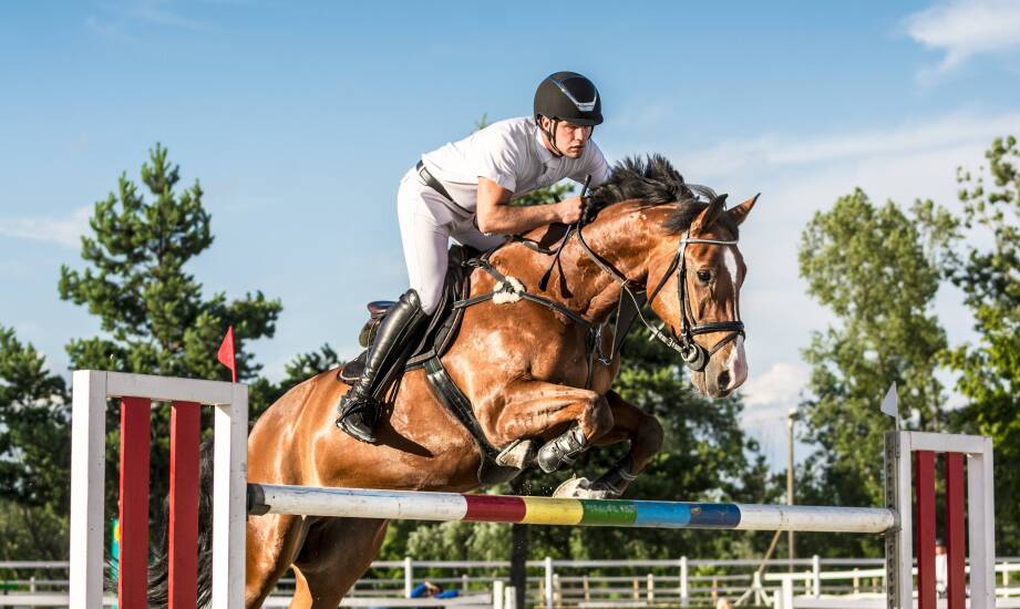 Porównanie bryczesów męskich dla różnych dyscyplin jeździeckich