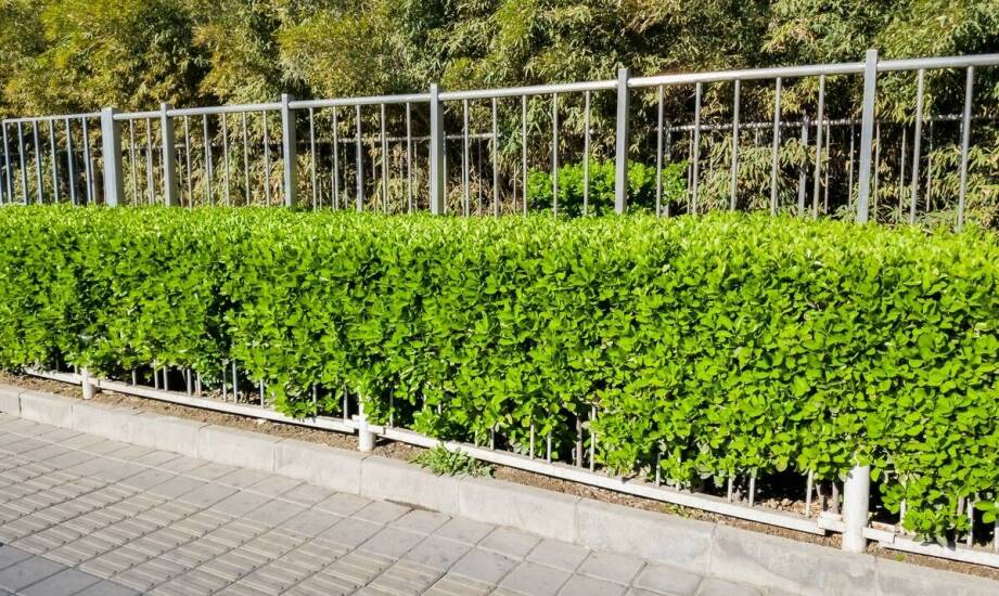 Wybór odpowiednich barierek chodnikowych do różnych projektów infrastrukturalnych