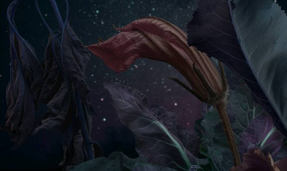 Nasz sklep erotyczny online: co warto wiedzieć o polityce zwrotów?