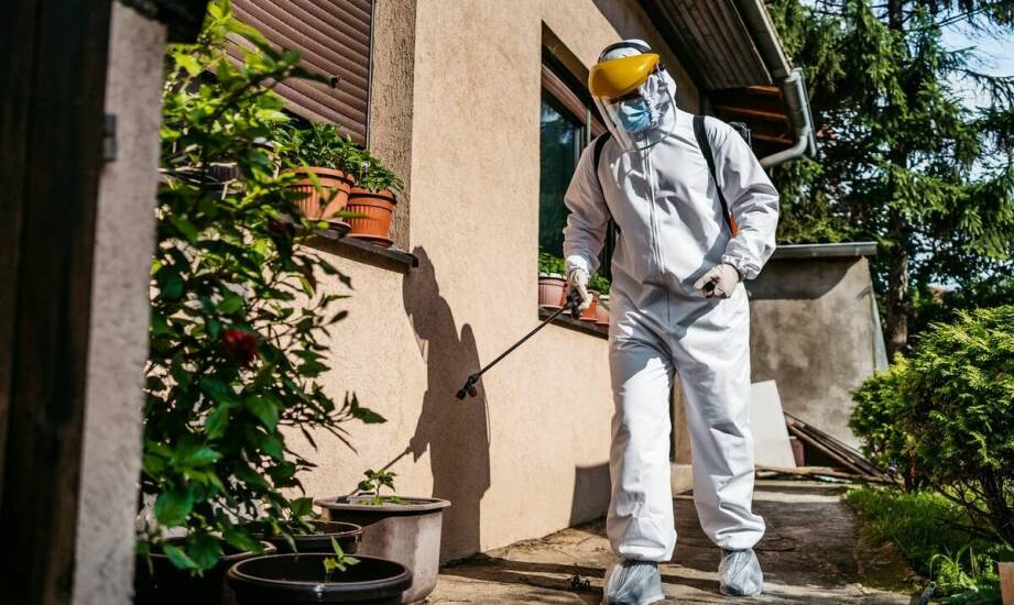 Deratyzacja a zdrowie – jak chronić się przed zagrożeniami?