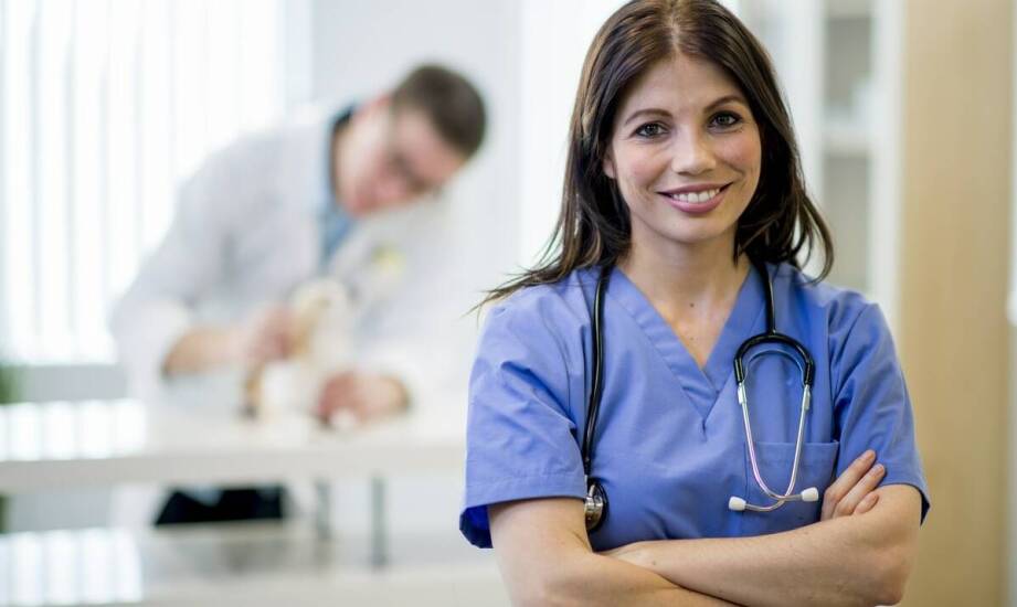 Rola weterynarza w edukacji właścicieli zwierząt egzotycznych