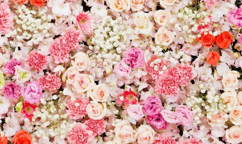 Tapety kwiatów jako sposób na optyczne powiększenie małych przestrzeni