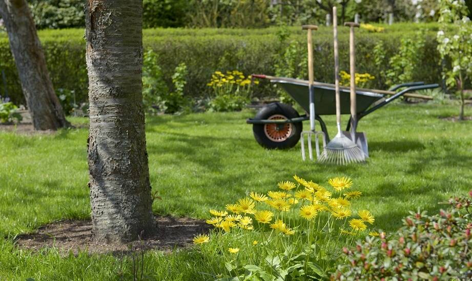 Profesjonalna pielęgnacja terenów zielonych – co obejmuje nasza oferta?