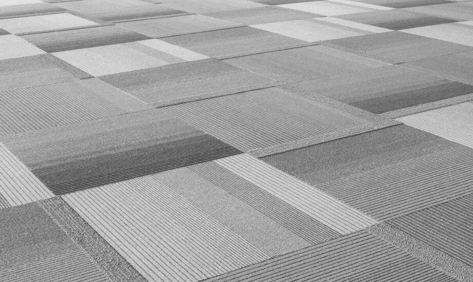 Pranie wykładzin – jak wpływa na komfort użytkowania przestrzeni biurowej?