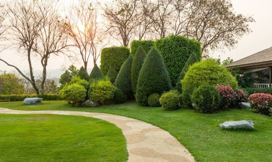 W jaki sposób ścieżki zdrowia wspierają proces rehabilitacji w sanatoriach?