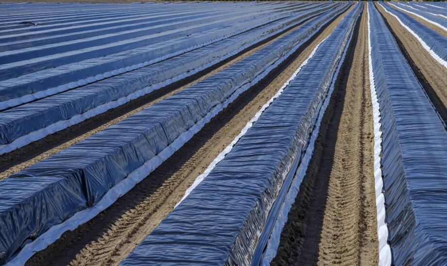 Jak właściwie stosować folię pryzmową w różnych warunkach klimatycznych?