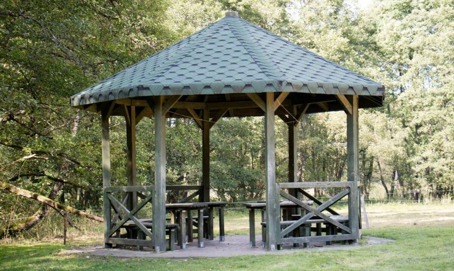 Jakie są najważniejsze cechy altan ogrodowych jednospadowych wykonanych z drewna C24?