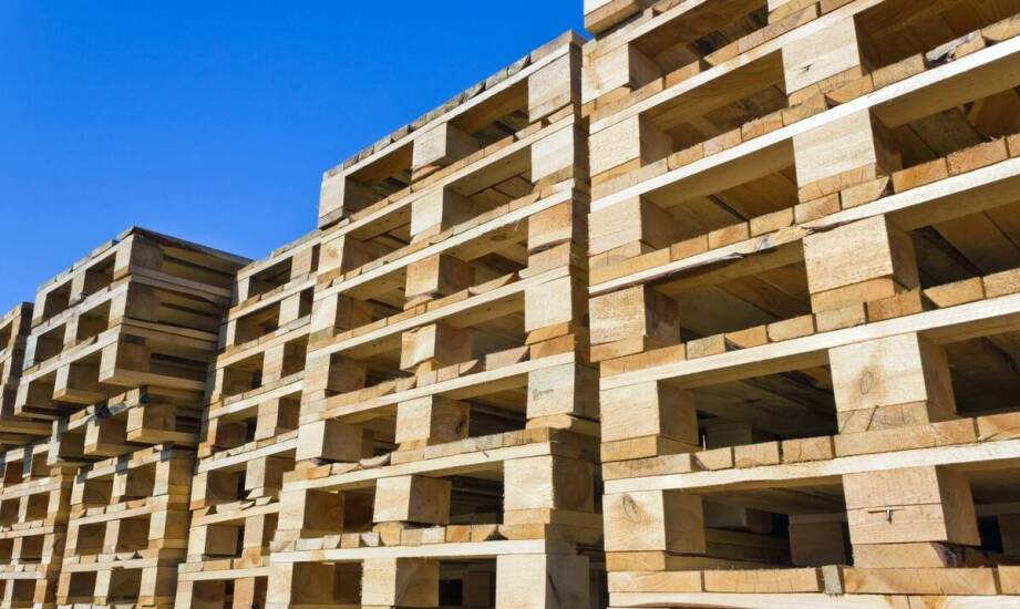 Różnorodność palet dostępnych w skupie: Od jednorazowych po przemysłowe