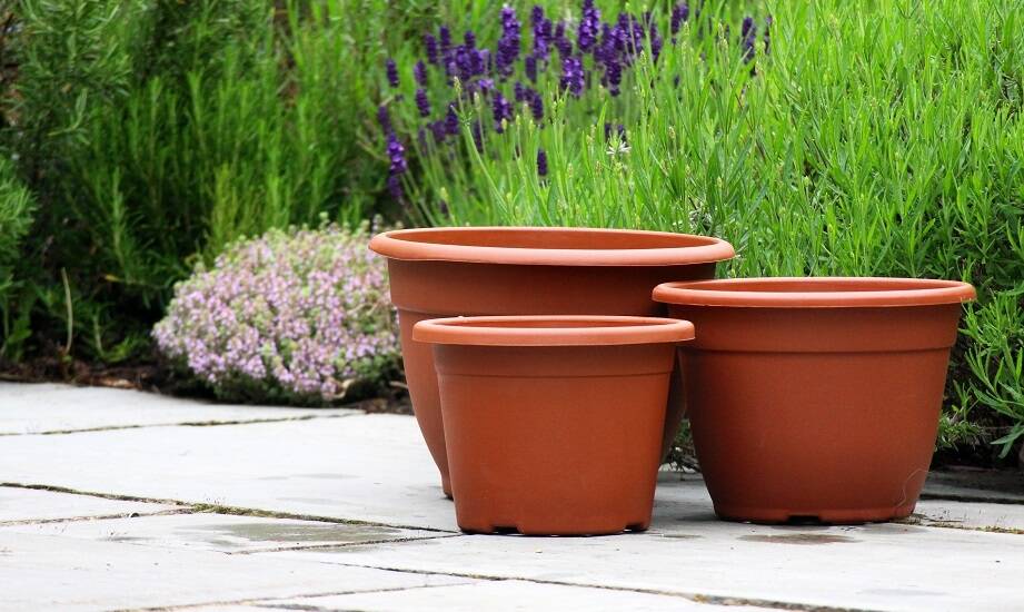 Wyprzedaż dużych donic ogrodowych – praktyczne porady dla miłośników roślinności