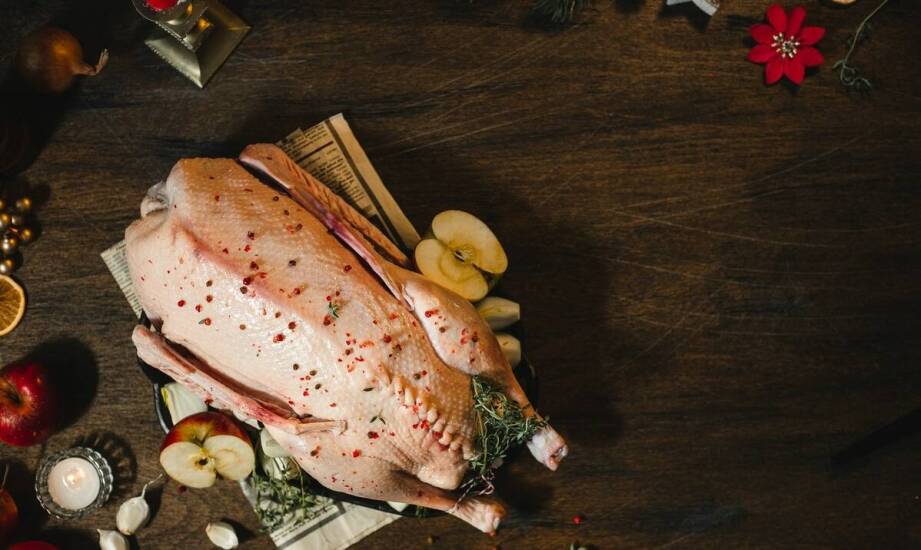 Czy mięso z kaczki to dobry wybór dla twojego psa?