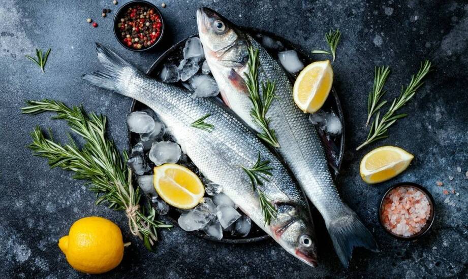 Jak ryby wspierają układ odpornościowy kota w diecie BARF?