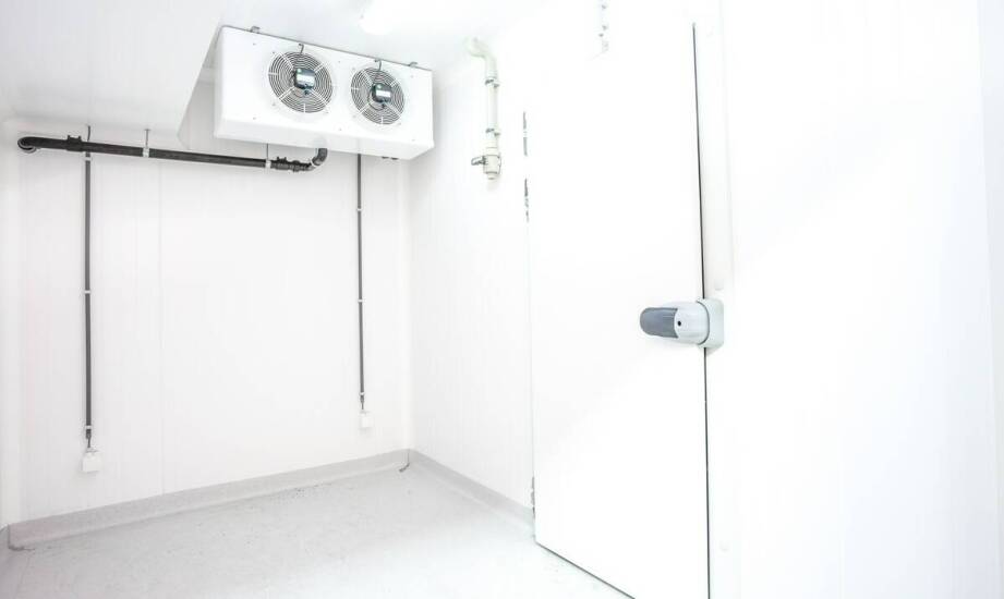 Jakie czynniki uwzględniać przy wyborze komory mroźniczej?