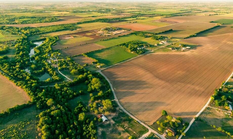 Wpływ działalności ubojni bydła na gospodarkę regionu