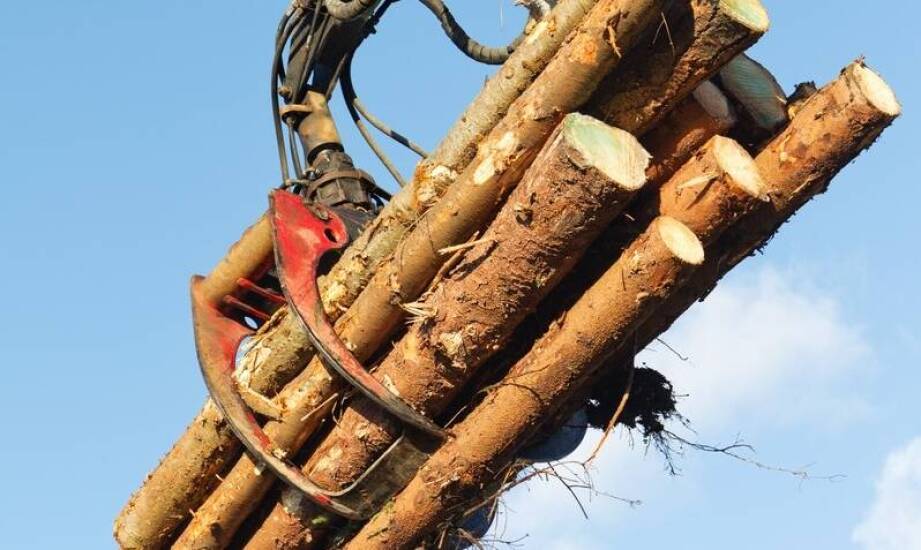 Wpływ użytkowania kombajnu do produkcji rozpałki na efektywność logistyki leśnej