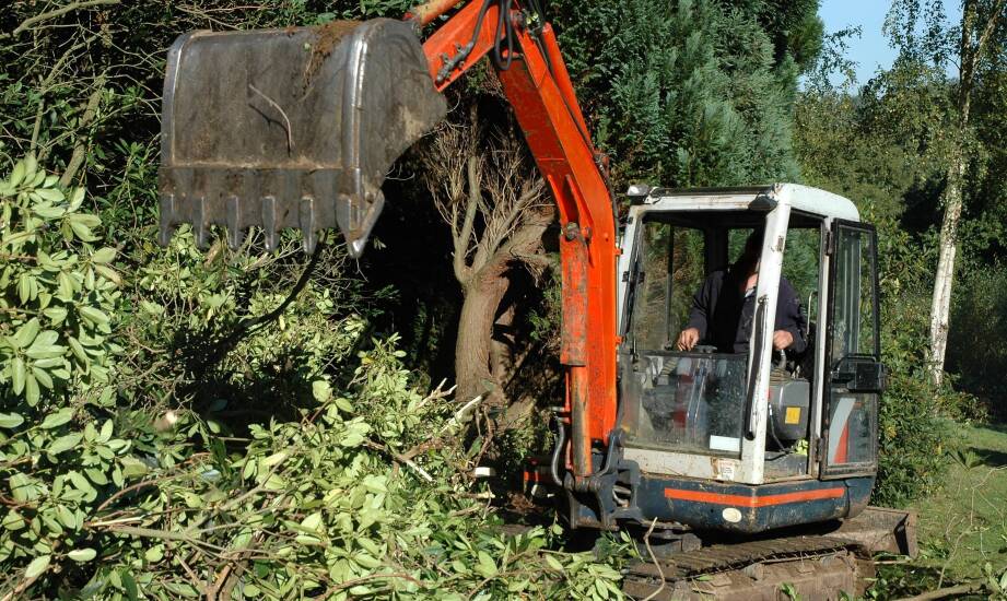 Jakie są najważniejsze zasady bezpieczeństwa przy karczowaniu drzew?
