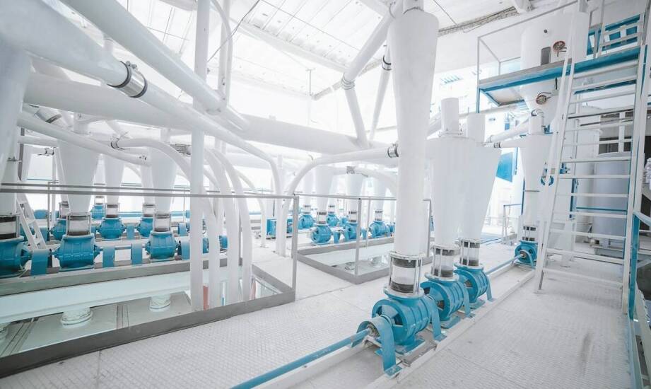 Certyfikacja karmy dla zwierząt a optymalizacja procesów produkcyjnych