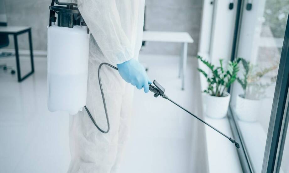 Rola fumigacji w zabezpieczaniu obiektów przed szkodnikami