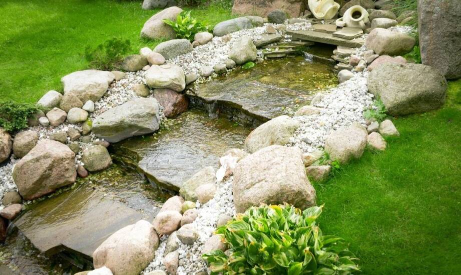 Jakie są kluczowe etapy zakładania oczka wodnego w ogrodzie?