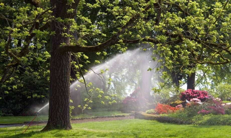Pogłębianie studni jako sposób na zwiększenie zasobów wody w ogrodzie