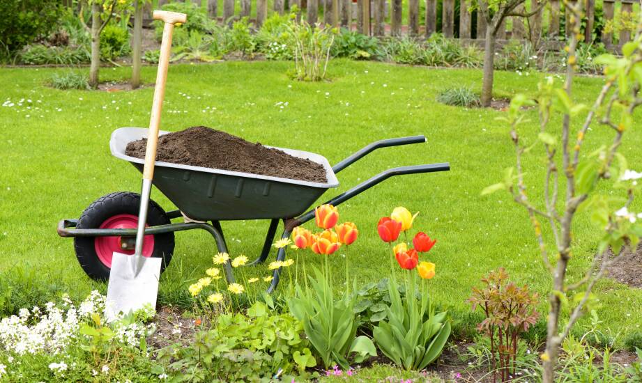 Sezonowe porady pielęgnacyjne dla właścicieli naturalnych ogrodów przydomowych