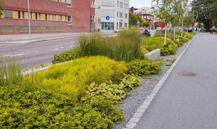 Efektywność systemu odwodnienia dzięki odpowiednim wpustom ulicznym