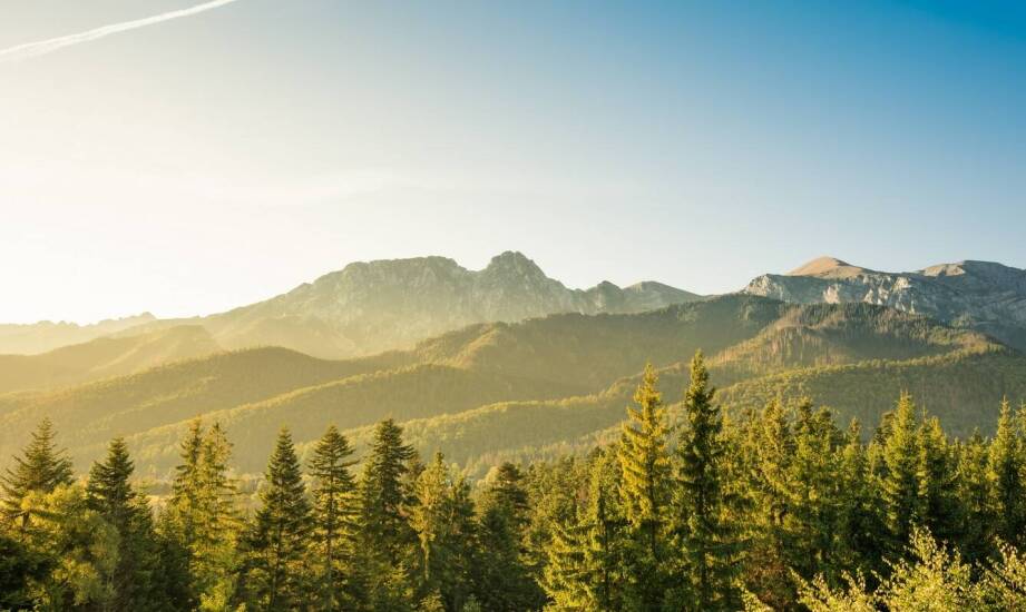 Jakie akcesoria mogą zwiększyć funkcjonalność śpiworów myśliwskich?
