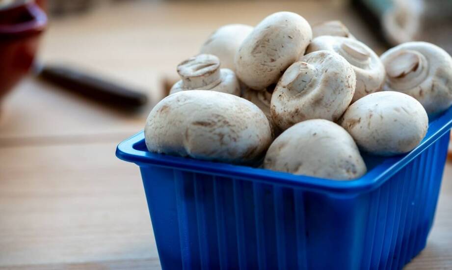 The Impact of Regular Mushroom Deliveries on the Success of Grocery Stores