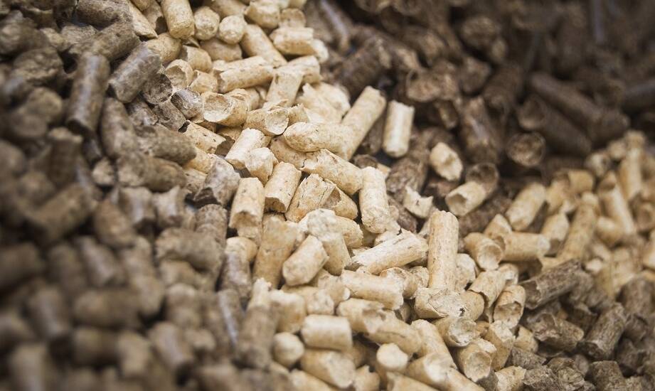 Różnorodność oferty składu opału – od ekogroszku po pellet