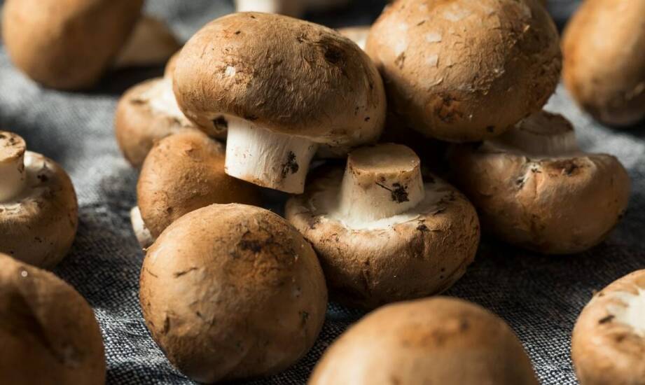 Key Benefits of Choosing Polish Mushrooms for a Seasonal Menu