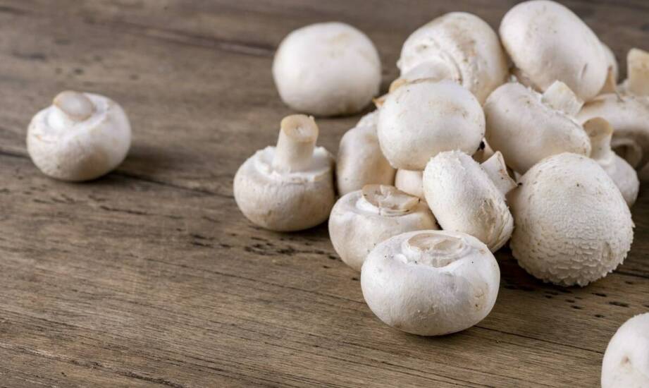 What Are the Most Commonly Chosen Varieties of Mushrooms by Wholesale Buyers?