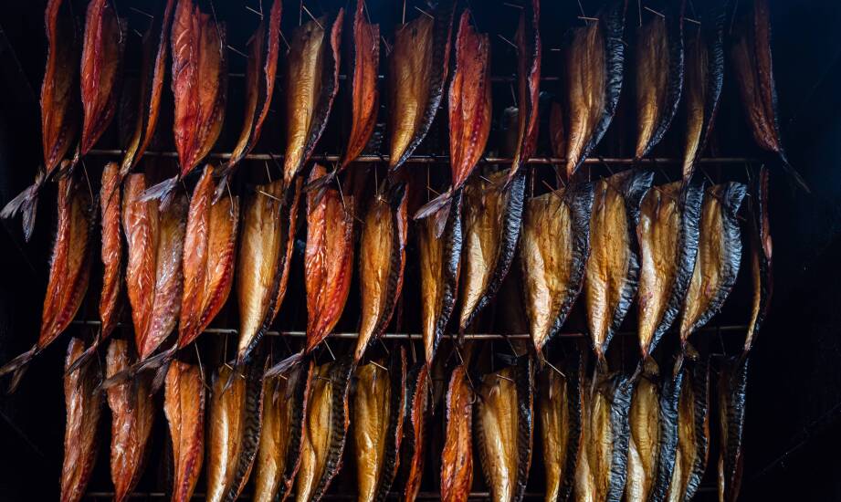 Arten von Räucherchips und ihr Einfluss auf den Geschmack von geräuchertem Fisch