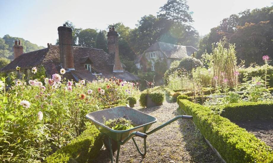 Wpływ dachu trzcinowego na środowisko naturalne – analiza zalet