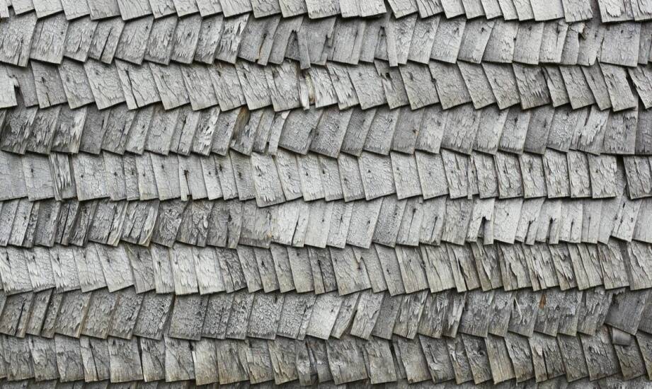 Jak strzecha z trzciny chroni przed hałasem zewnętrznym?