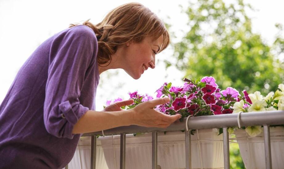 Biała skrzynka balkonowa - jak wkomponować ją w istniejący wystrój balkonu?